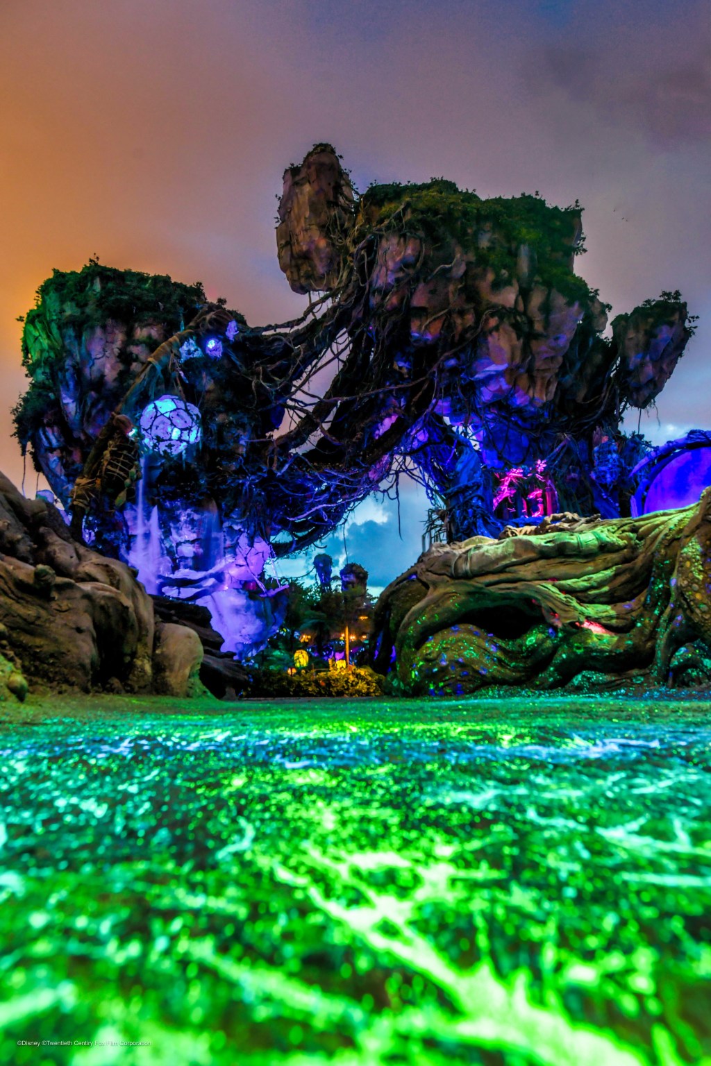 The Magic of Disney: A Lifelong Enchanting Love&nbsp;Affair